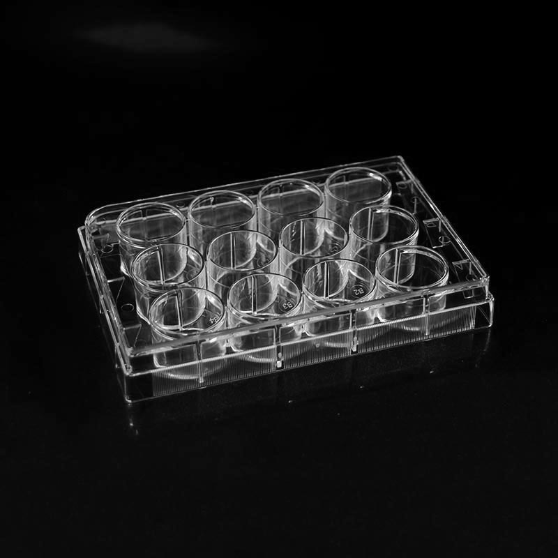 12 Well Transparent Culture Plate for Lab Usage